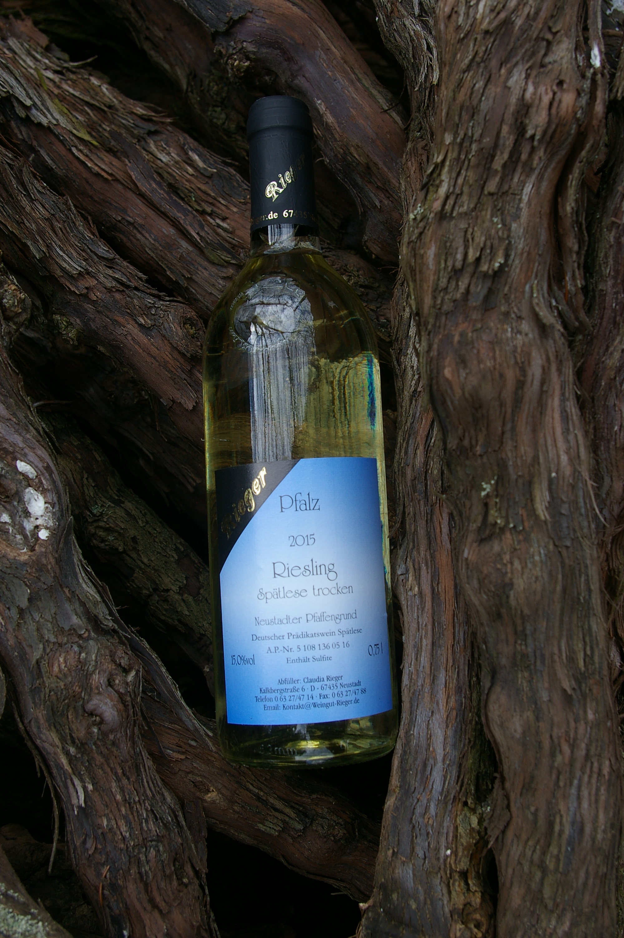 2015er Riesling - trocken