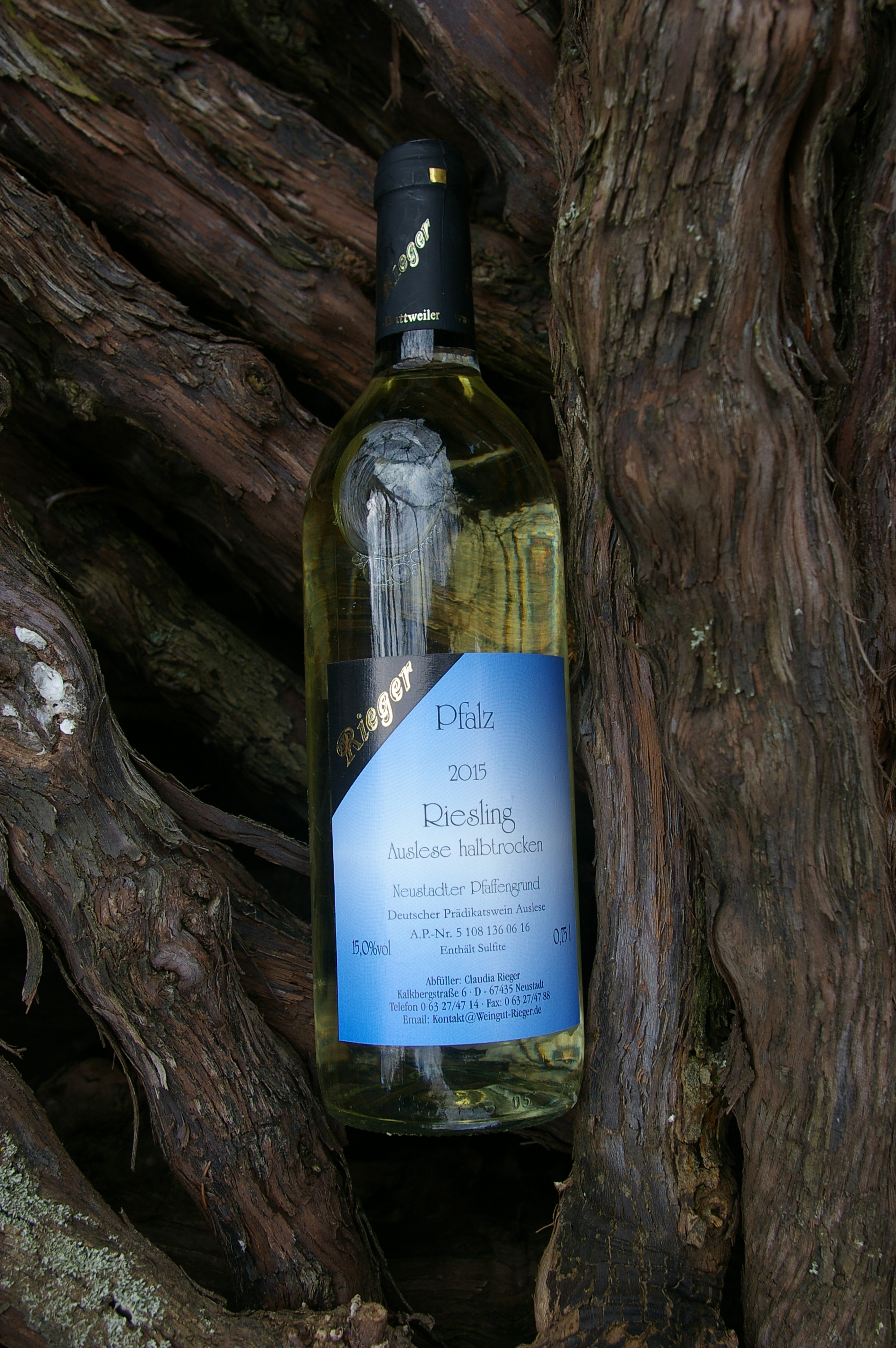 2015er Riesling - halbtrocken