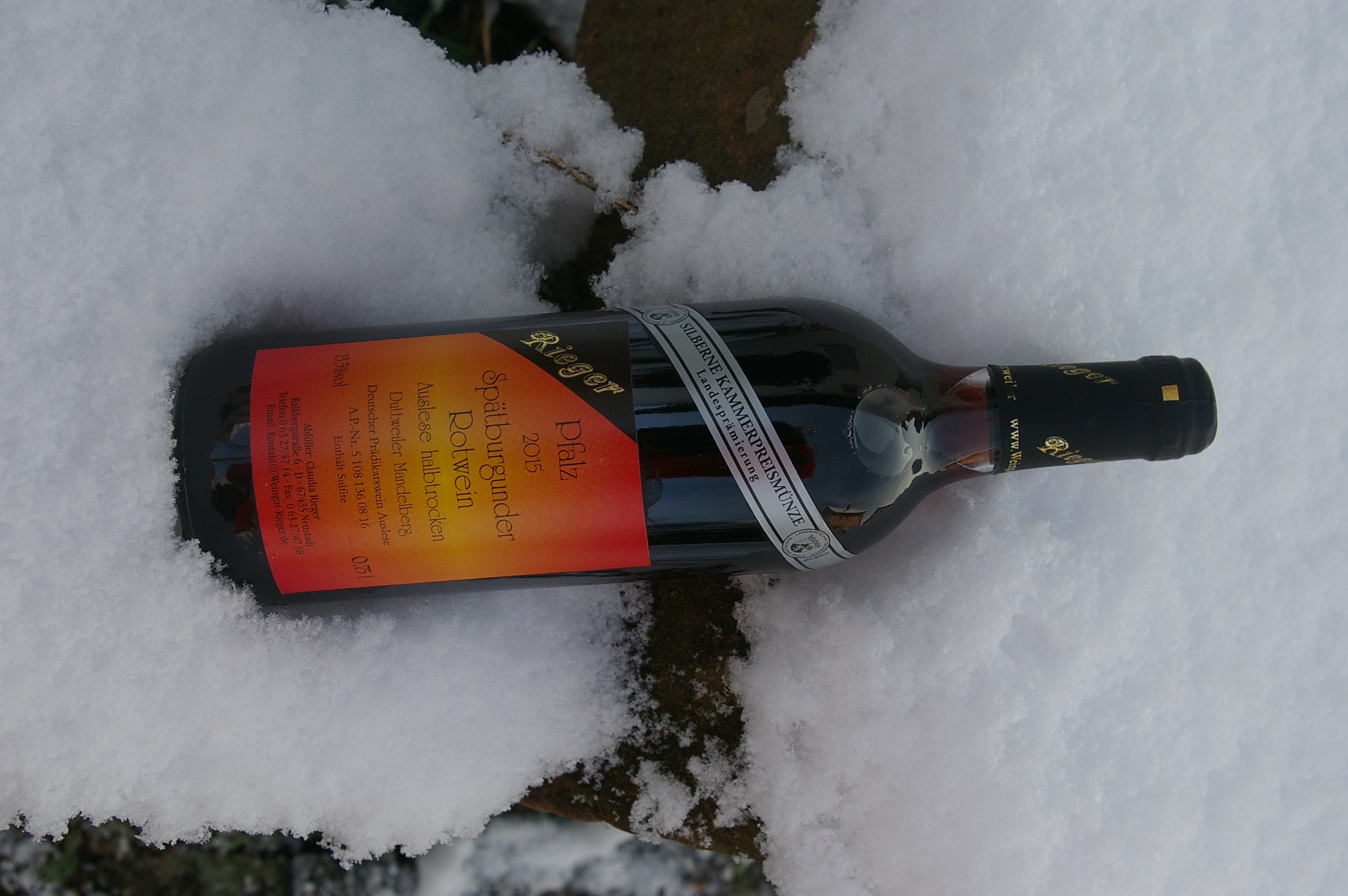 2015er Spätburgunder Rotwein - halbtrocken