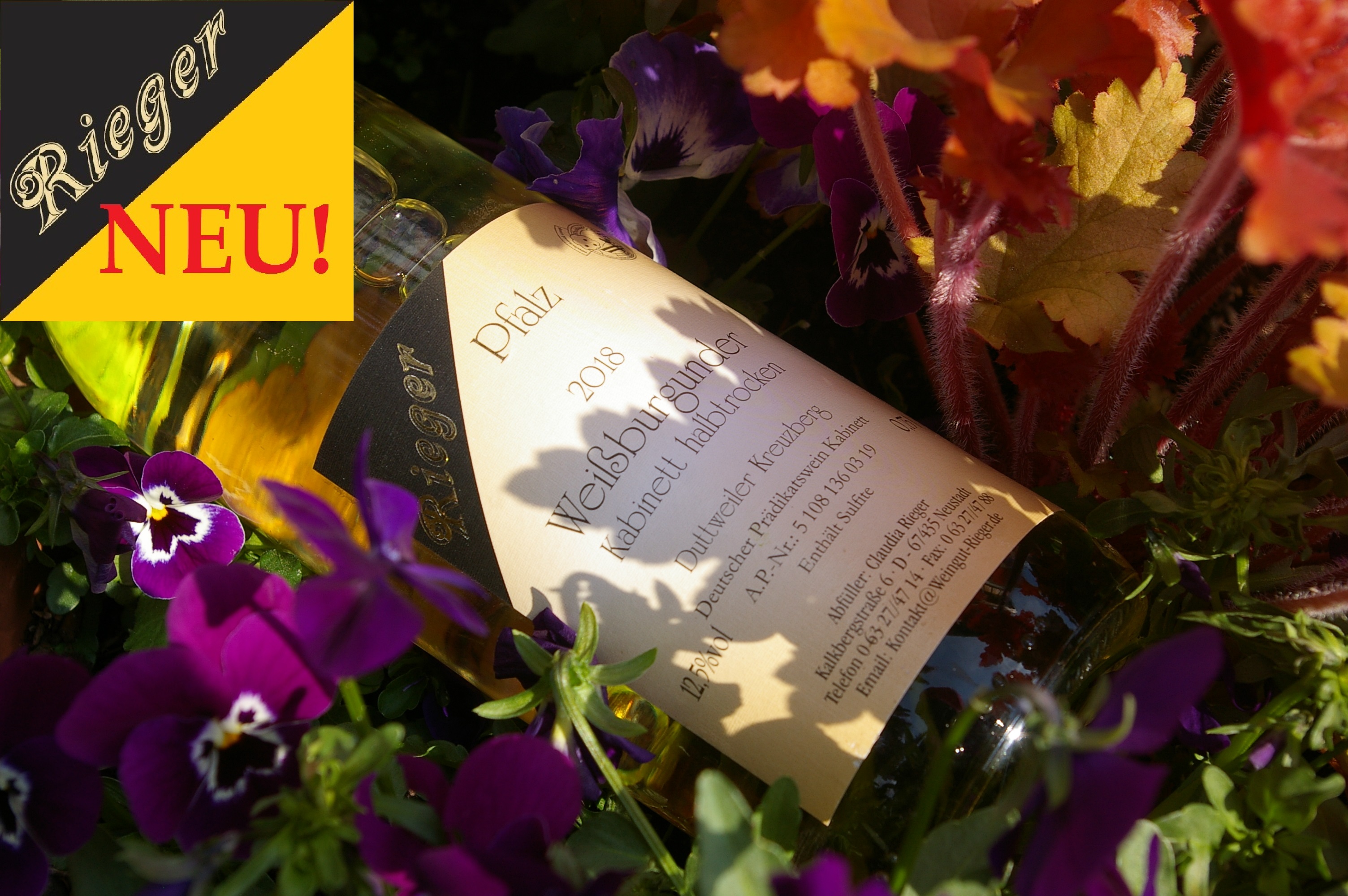 2018er Weißburgunder - halbtrocken