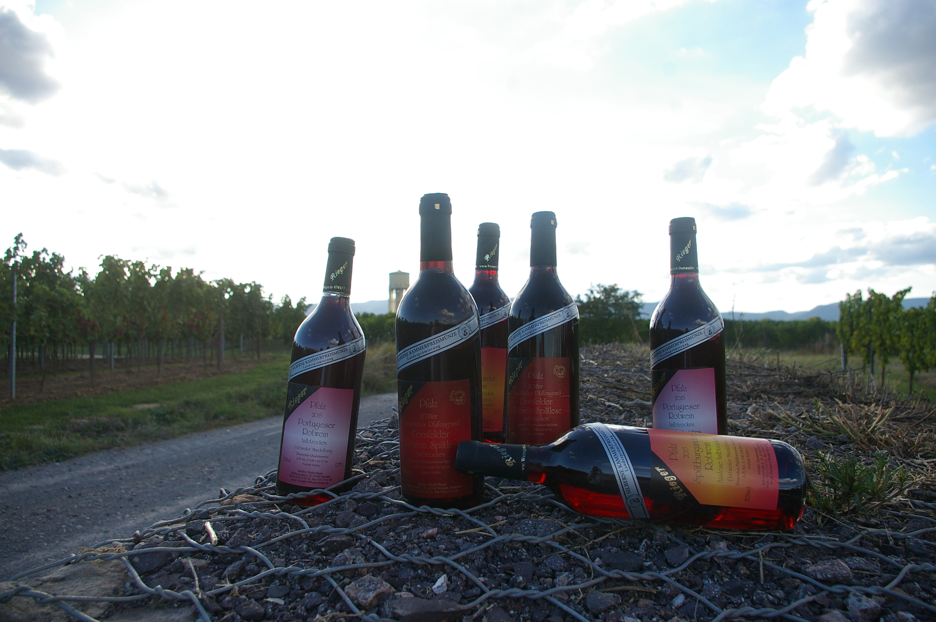 2 Fl 2015er Sp&auml;tburgunder Auslese Rotwein halbtrocken, 2 Fl 2015er Portugieser QbA Rotwein halbtrocken, 2 Fl 2018er Dornfelder Sp&auml;tlese Rotwein halbtrocken