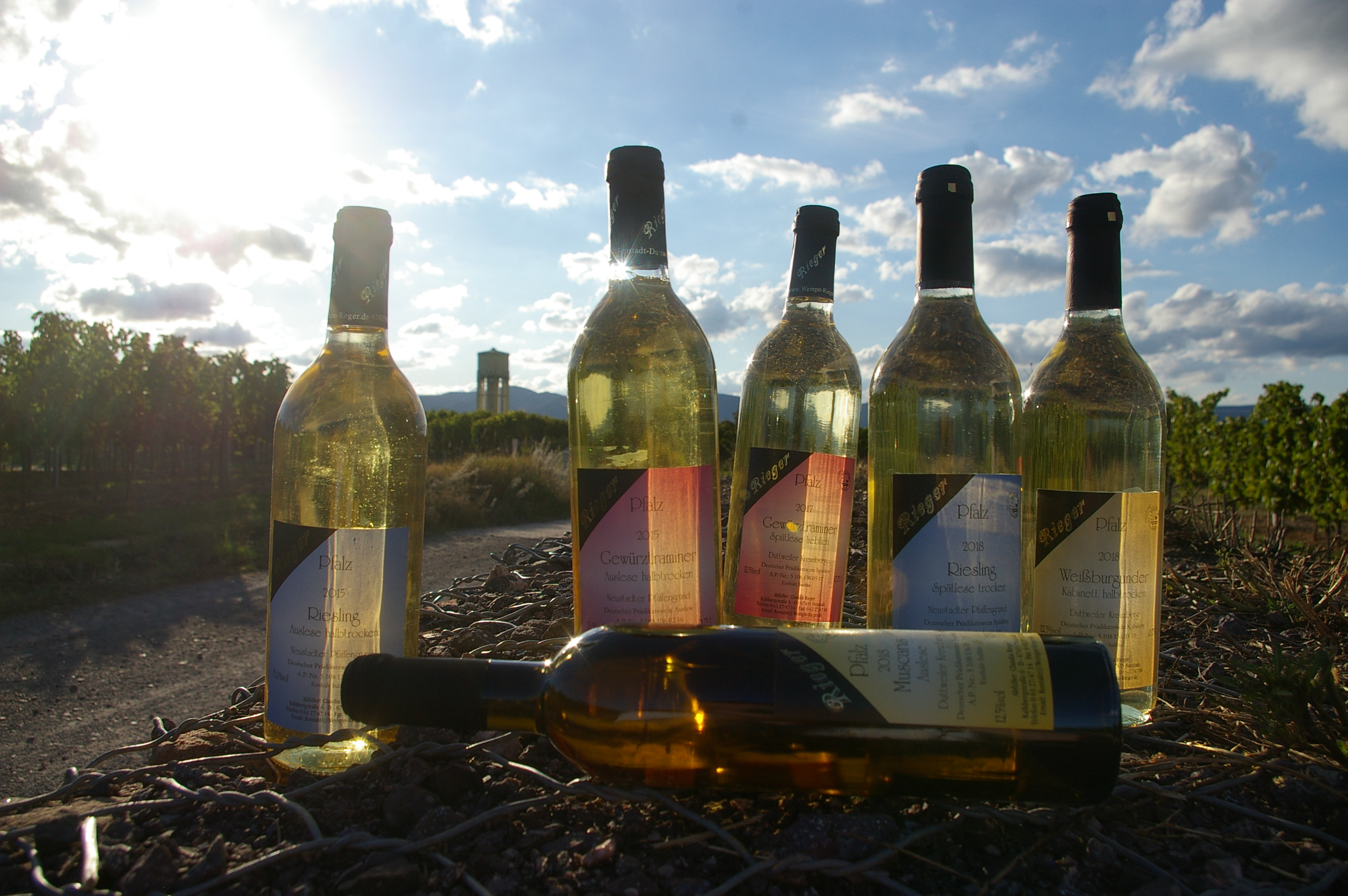 2017er Gew&uuml;rztraminer Sp&auml;tlese lieblich, 2018er Wei&szlig;burgunder Kabinett halbtrocken, 2018er Riesling Sp&auml;tlese trocken, 2018er Muscaris Auslese, 2015er Gew&uuml;rztraminer Auslese halbtrocken, 2015er Riesling Auslese halbtrocken