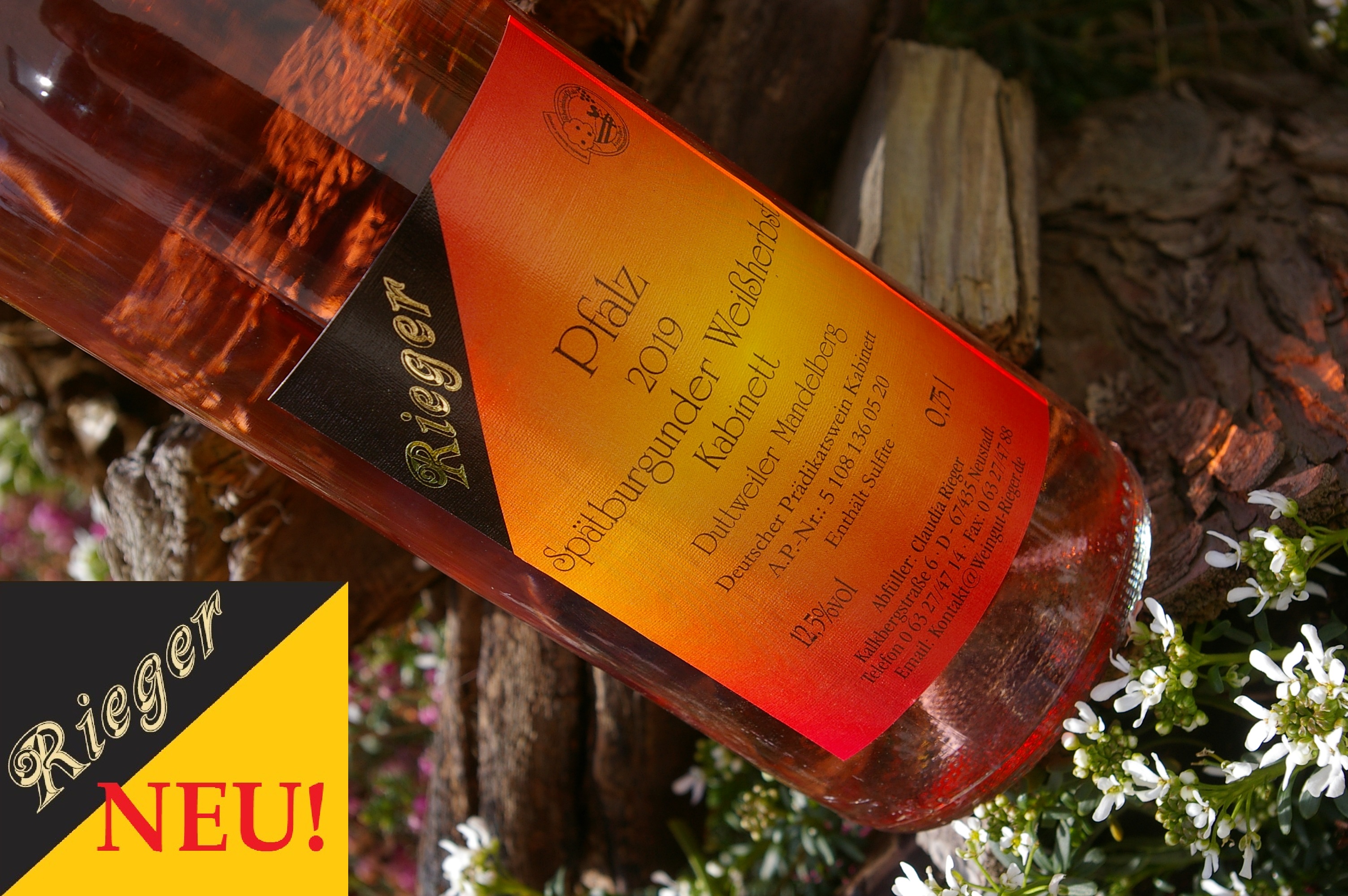 2019er Spätburgunder Weißherbst