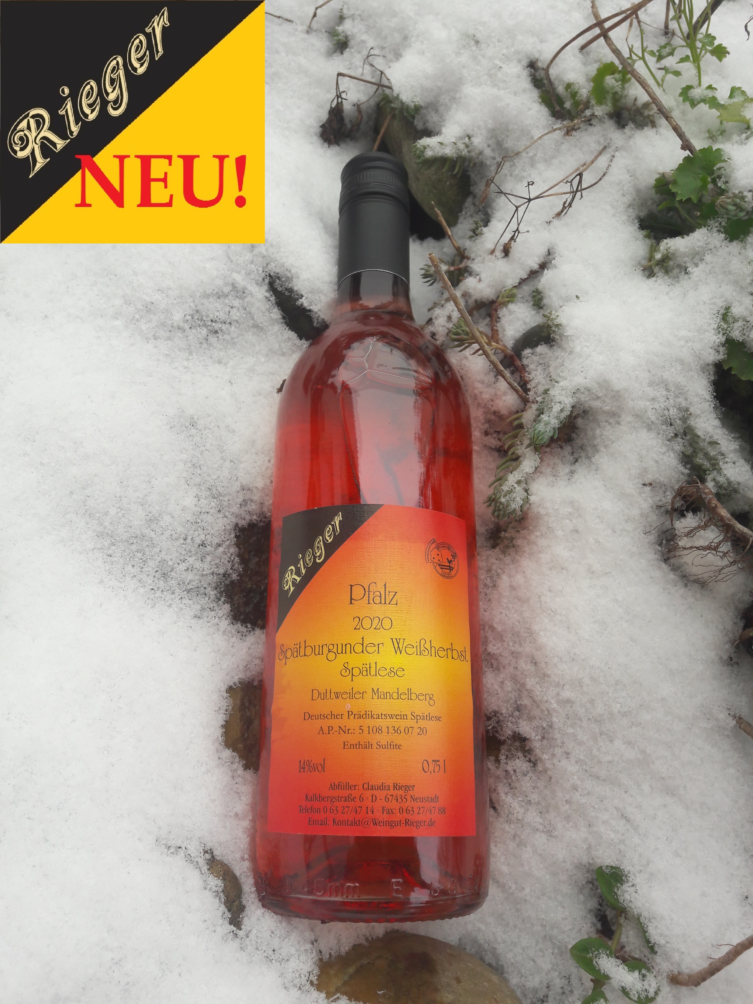 2020er Spätburgunder Weißherbst