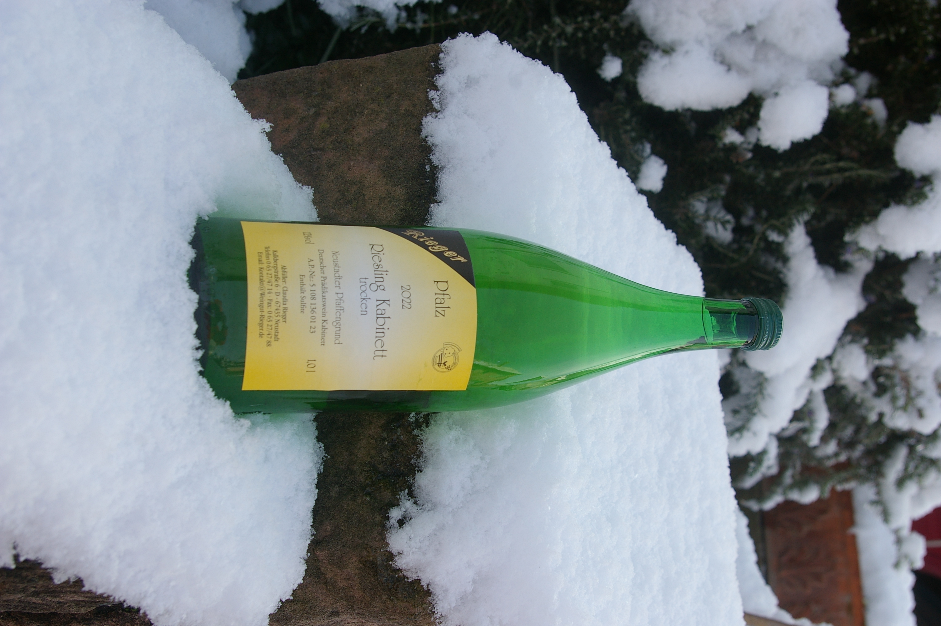 2022er Riesling - trocken